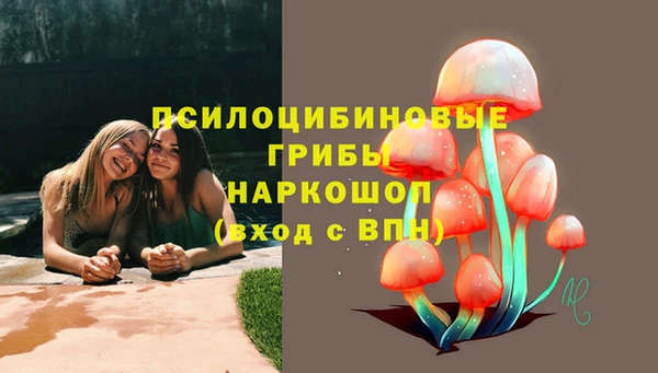 бошки Мегион