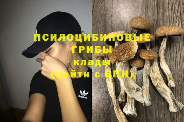 бошки Мегион