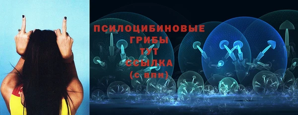 2c-b Медногорск