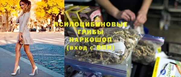 бошки Мегион