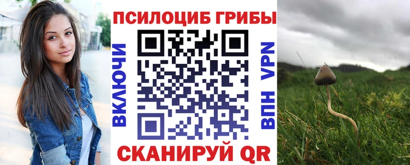 Псилоцибиновые грибы мицелий  Купить где  Неман 